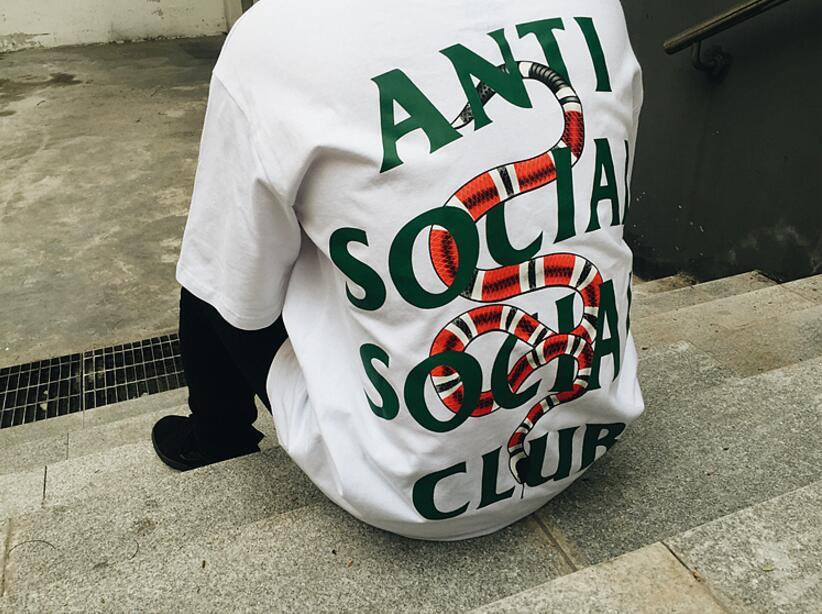 assc gucci snake