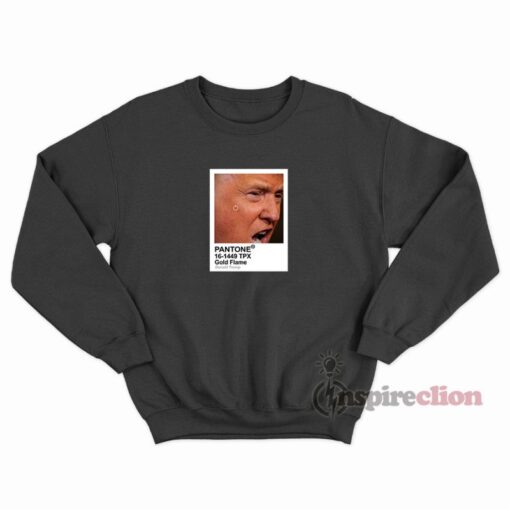 Pantone Color Donald Trump Parody Meme Sweatshirt