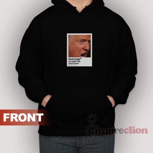 Pantone Colors For Donald Trump Hoodie