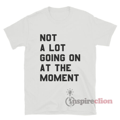 Taylor Swift Not A Lot Going On At The Moment T-Shirt