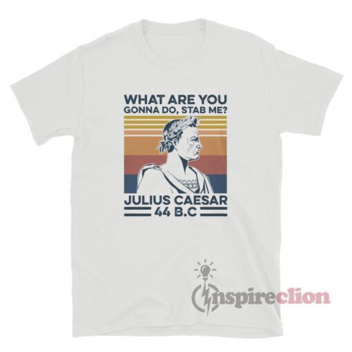 Vintage What Are You Gonna Do Stab Me Julius Caesar T-Shirt