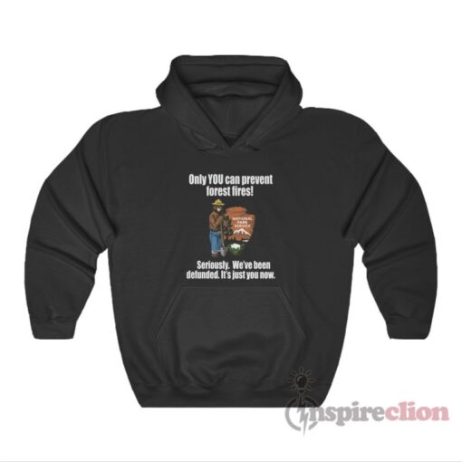 Smokey Bear Only You Can Prevent Forest Fires Hoodie