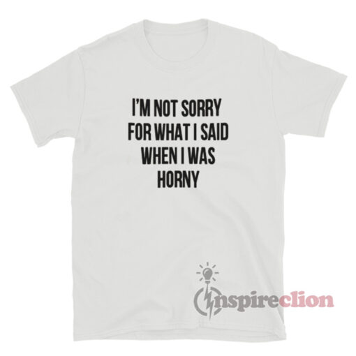 I'm Not Sorry For What I Said When I Was Horny T-Shirt