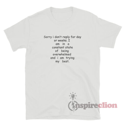 Sorry I Don't Reply For Day Or Weeks T-Shirt