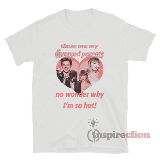 Harry Styles And Taylor Swift Haylor My Divorced Parents Meme T-Shirt