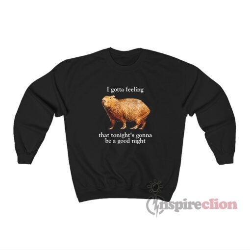 Capybara I Gotta Feeling That Tonight's Gonna Be A Good Night Sweatshirt
