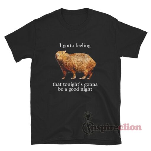 Capybara I Gotta Feeling That Tonight's Gonna Be A Good Night T-Shirt