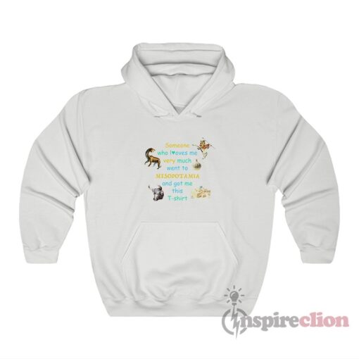 Someone Who Loves Me Very Much Went To Mesopotamia Hoodie