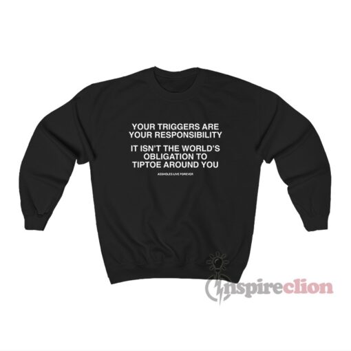 Your Triggers Are Your Responsibility It Isn't The World's Sweatshirt