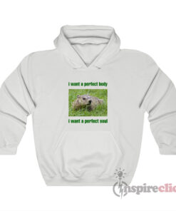 I Want A Perfect Body I Want A Perfect Soul Groundhog Hoodie