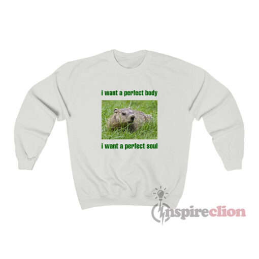 I Want A Perfect Body I Want A Perfect Soul Groundhog Sweatshirt