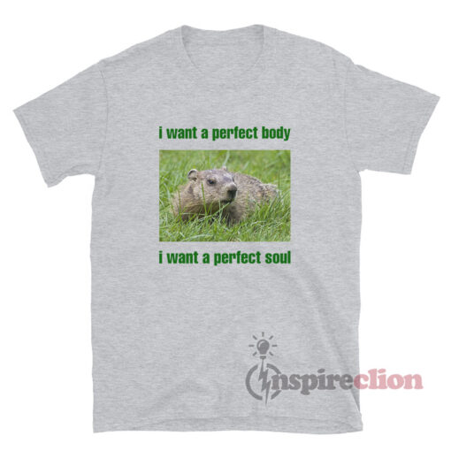 I Want A Perfect Body I Want A Perfect Soul Groundhog T-Shirt