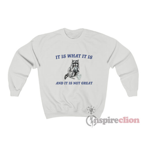 It Is What It Is And It Is Not Great Raccoon Meme Sweatshirt