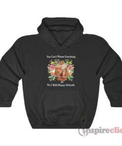 You Can't Please Everybody So I Will Please Nobody Hoodie