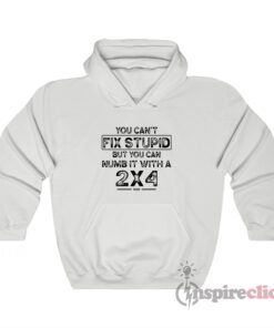 You Can't Fix Stupid But You Can Numb It With A 2x4 Hoodie