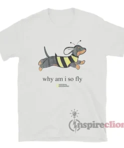 Why Am I So Fly Dachshund Bee Parody T-Shirt
