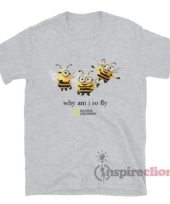 Why Am I So Fly Minion Bee Funny Parody T-Shirt