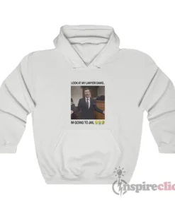 Harry Look At My Lawyer Dawg I'm Going To Jail Hoodie