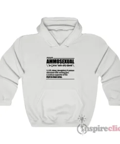 Noun Ammosexual Right To Bear Arms Hoodie