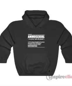 Noun Ammosexual Right To Bear Arms Hoodie